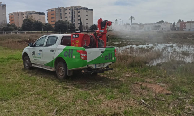 Benicàssim intensifica els tractaments contra mosquits “per terra i aire” després de les últimes pluges